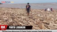 tumpukan kayu pantai